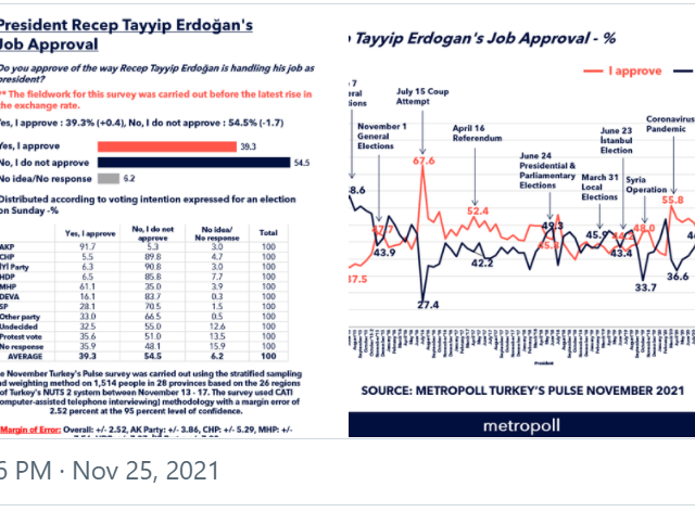 Simon A. Waldman:  Why Erdogan Will Survive Turkey’s Horrifying Crash