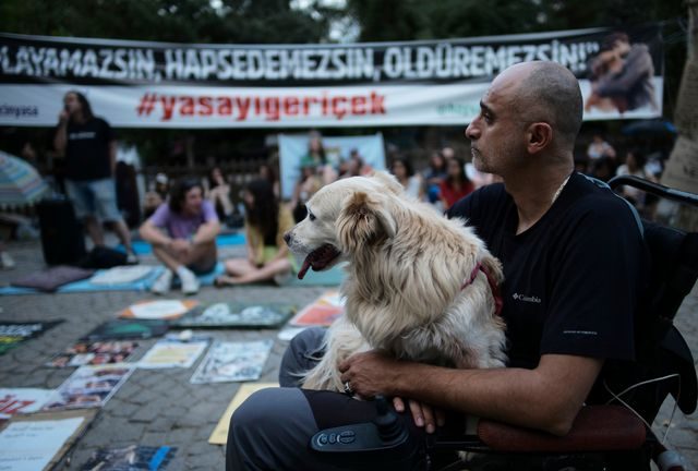 Turkey approved the bill allowing for the culling of millions of stray dogs despite mounting protests