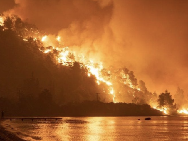 Türkiye offers assistance to Greece as wildfires threaten Athens