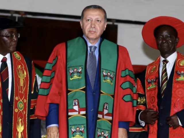 Erdoğan praises african nations’ firm support on Palestinian issue