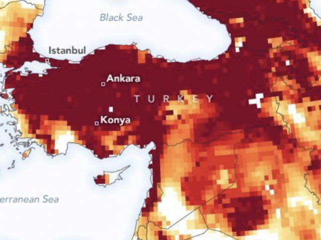 Türkiye Logs Hottest Year on Record in 2024